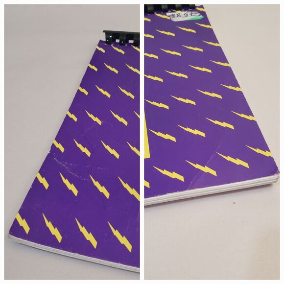 Biomagnetic Handbook: The Energy Medicine of Tomorrow By Philpott & Taplin 1990 - Picture 5 of 8